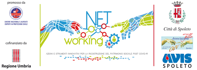 Net Working web
