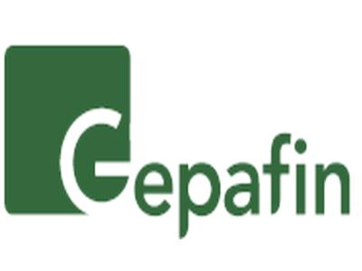 gepafin1
