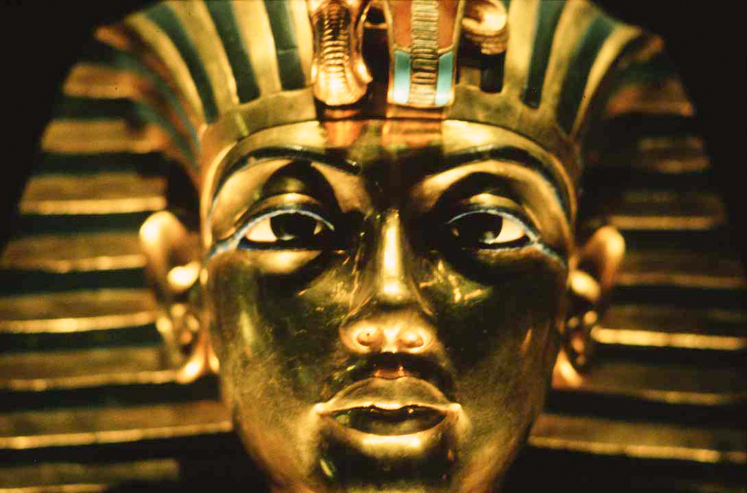 King Tut Ankh Amun Golden Mask autore Steve Evans