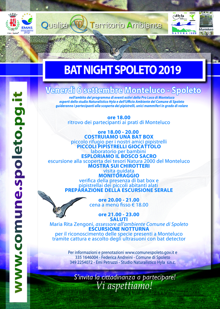 Bat Night 2019