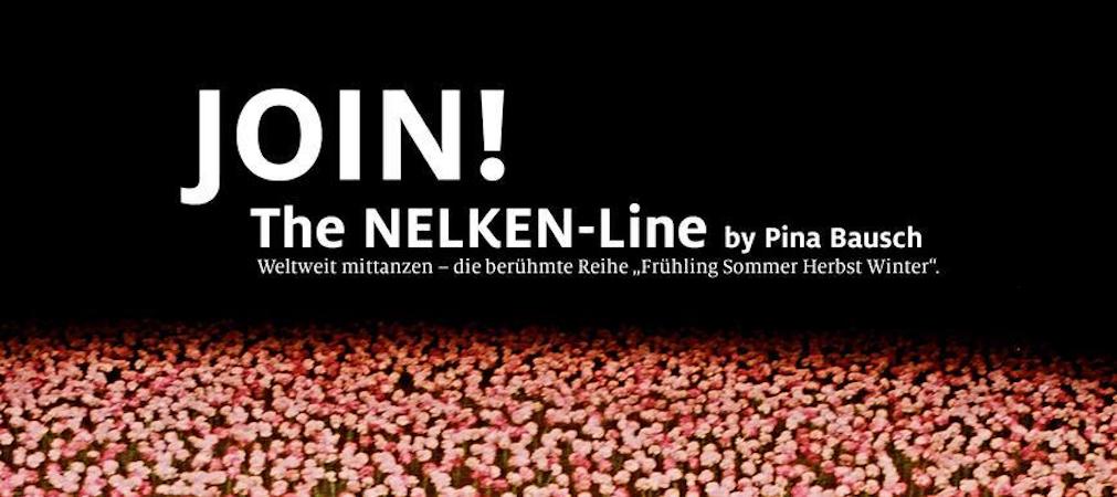 Join theNelkenLine
