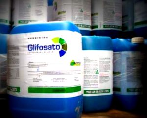 glifosato glifosate pesticidi erbicidi fitosanitari trattameni divieto 300x242