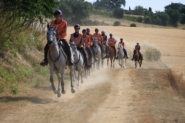 Endurance equestre 0P5A8388