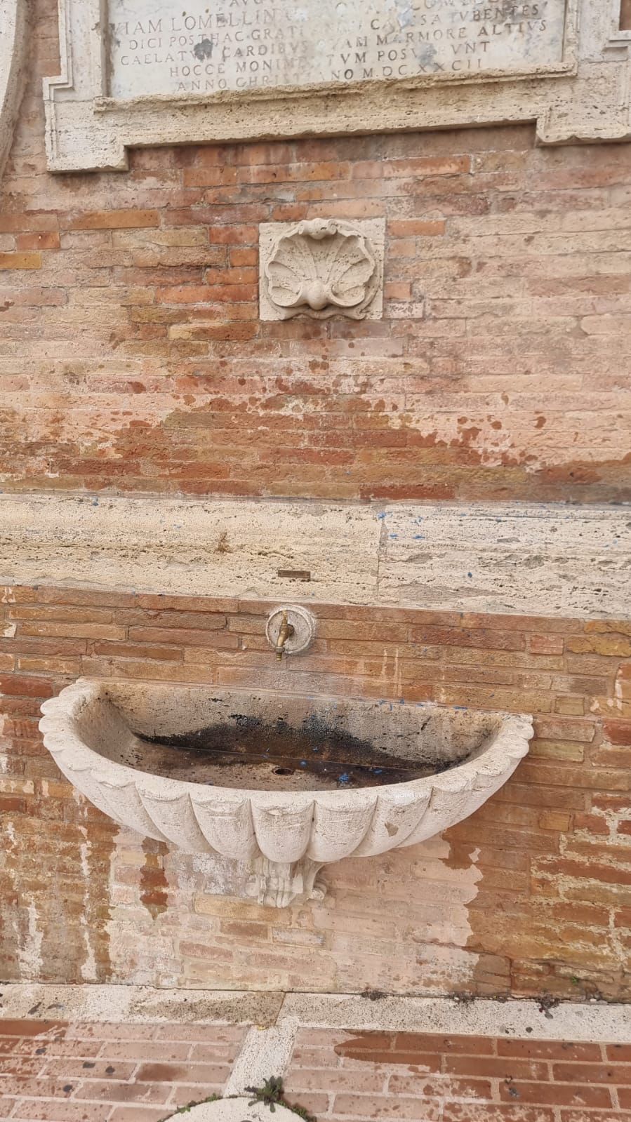 WhatsApp Image 2026 01 03 at 11.37.12