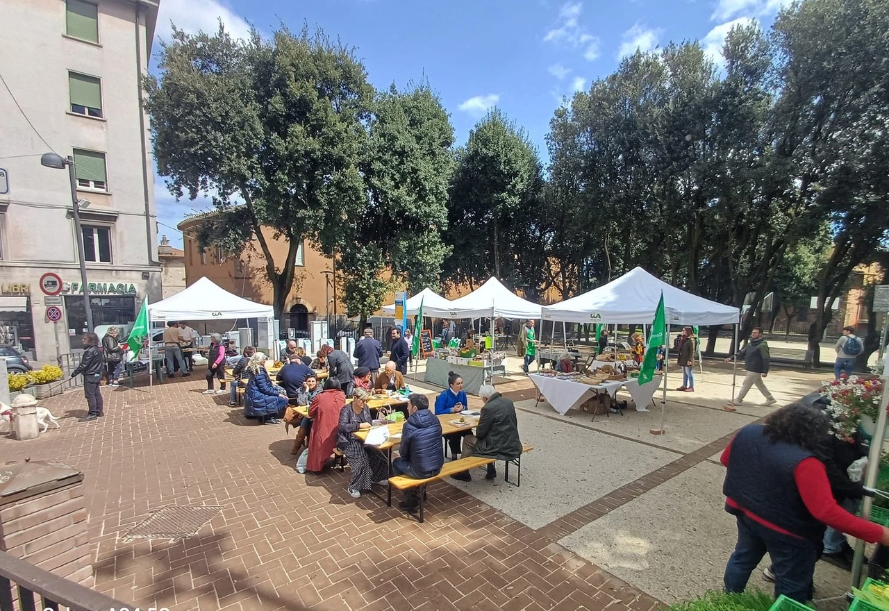 WhatsApp Image 2026 02 23 at 13.01.17 1