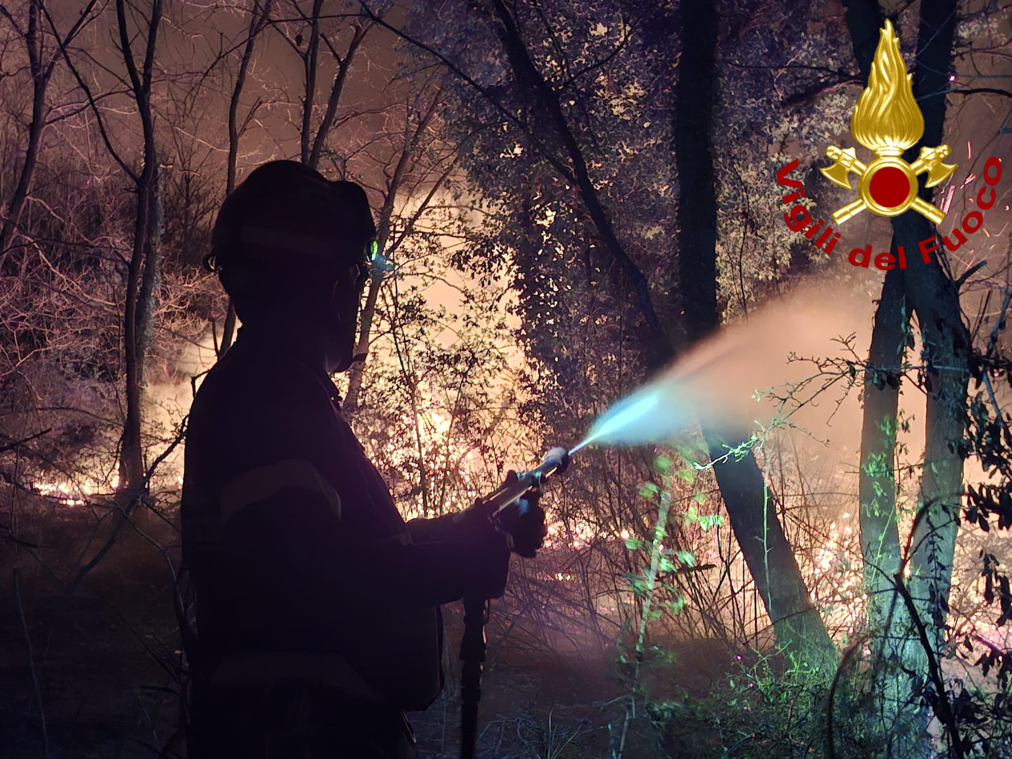 WhatsApp Image 2026 03 24 at 20.08.43