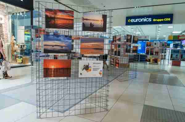 mostra Quasar