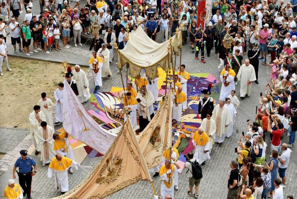 processione AND 8241 low