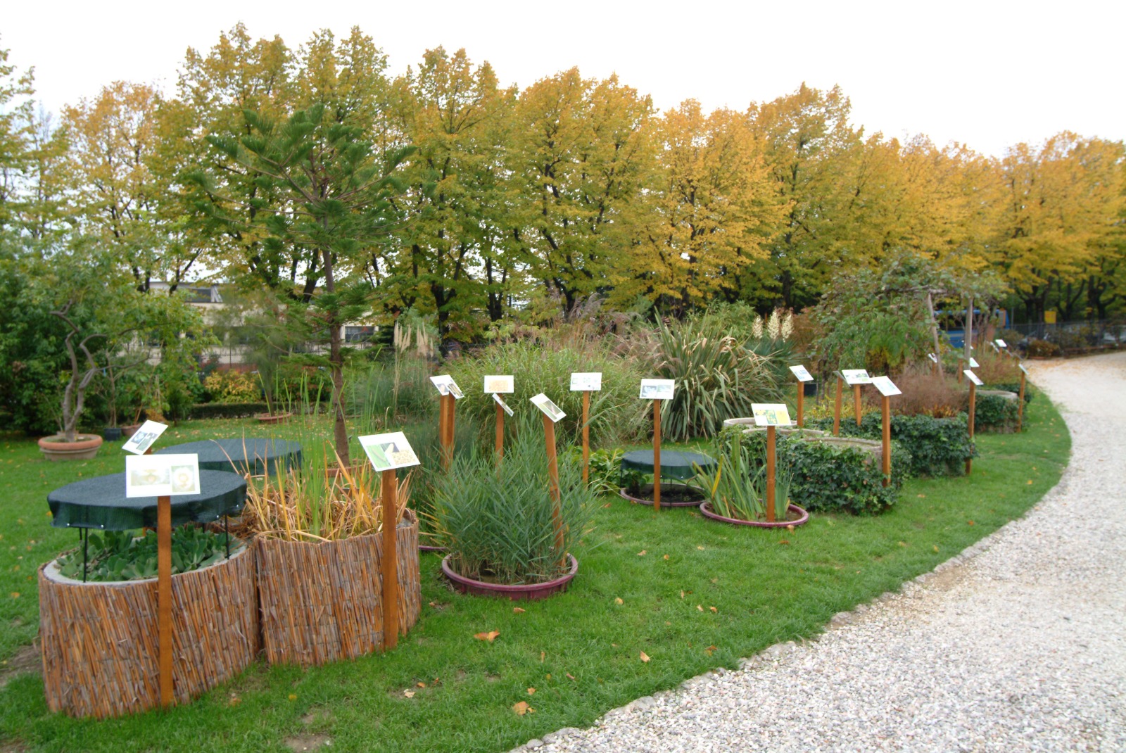 Biodiversità UniPg