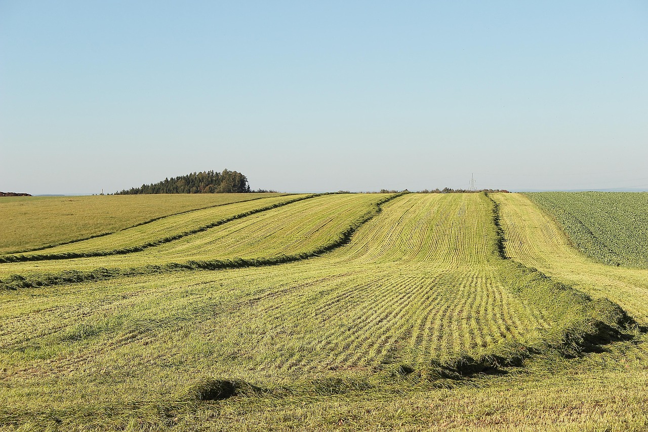 landscape 8060760 1280