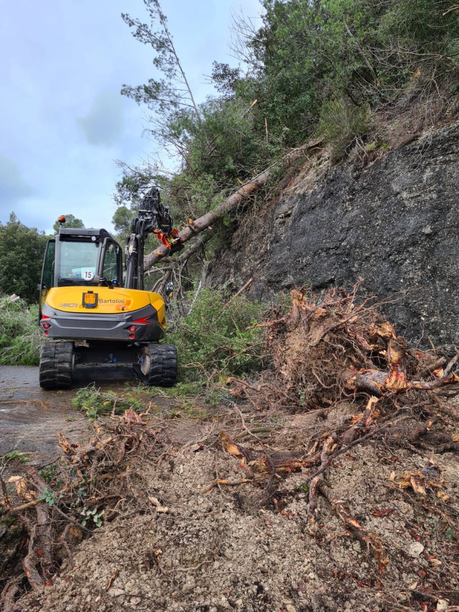 provincia rimozione alberi sulla Sp 4 a montefranco