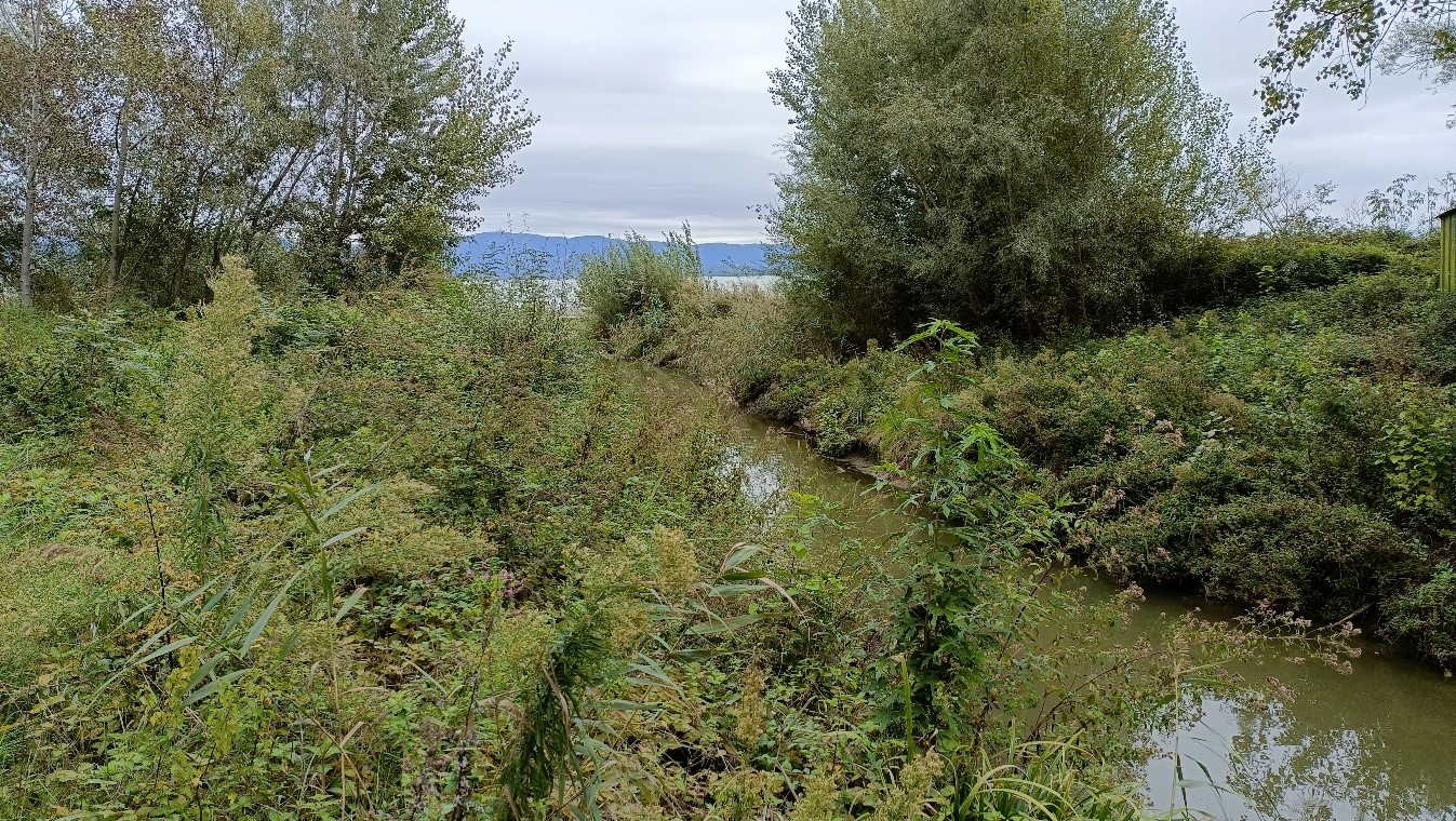 Lago trasimeno