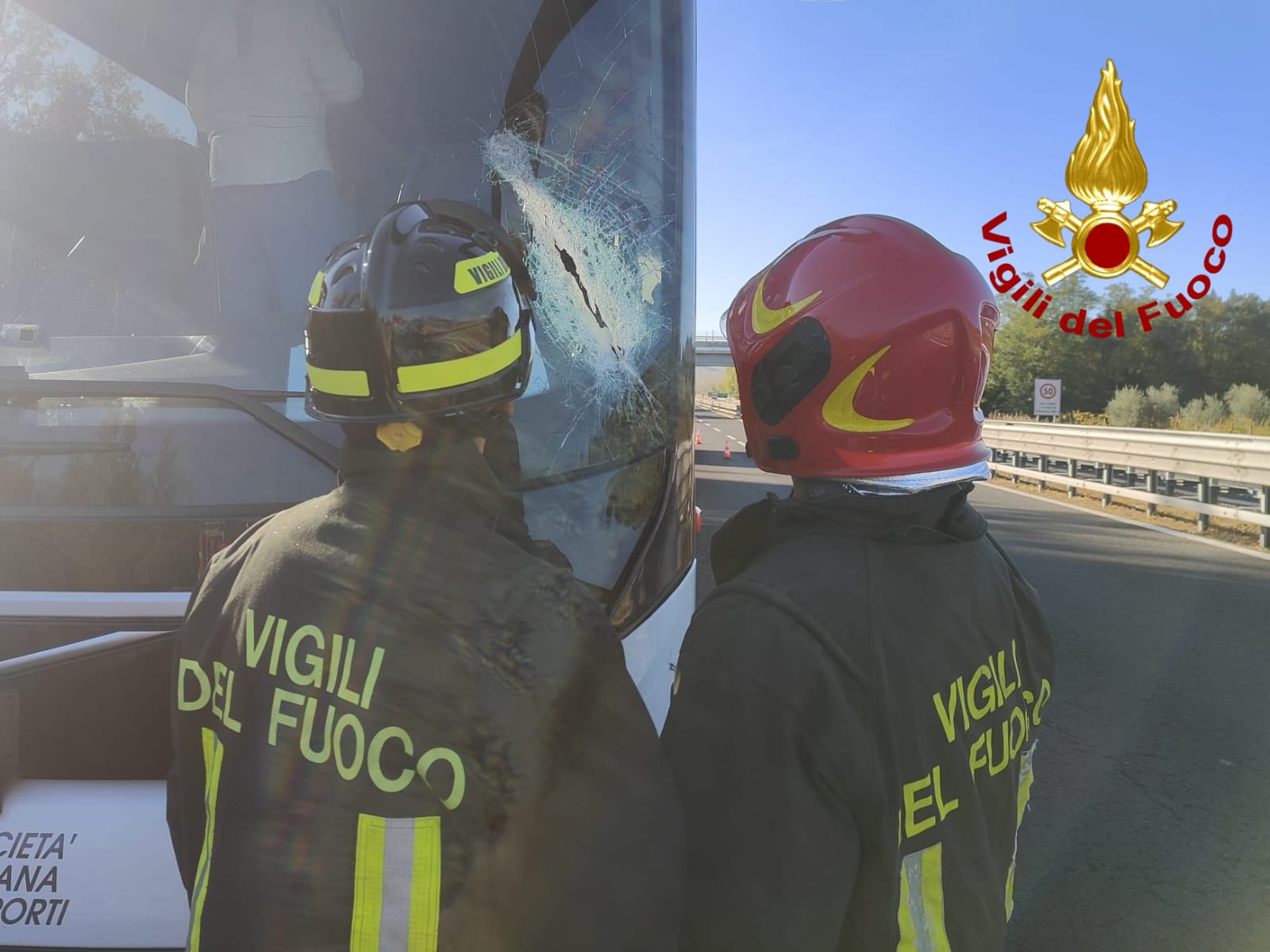 Immagine WhatsApp 2025 10 16 ore 11.47.42 3792b628