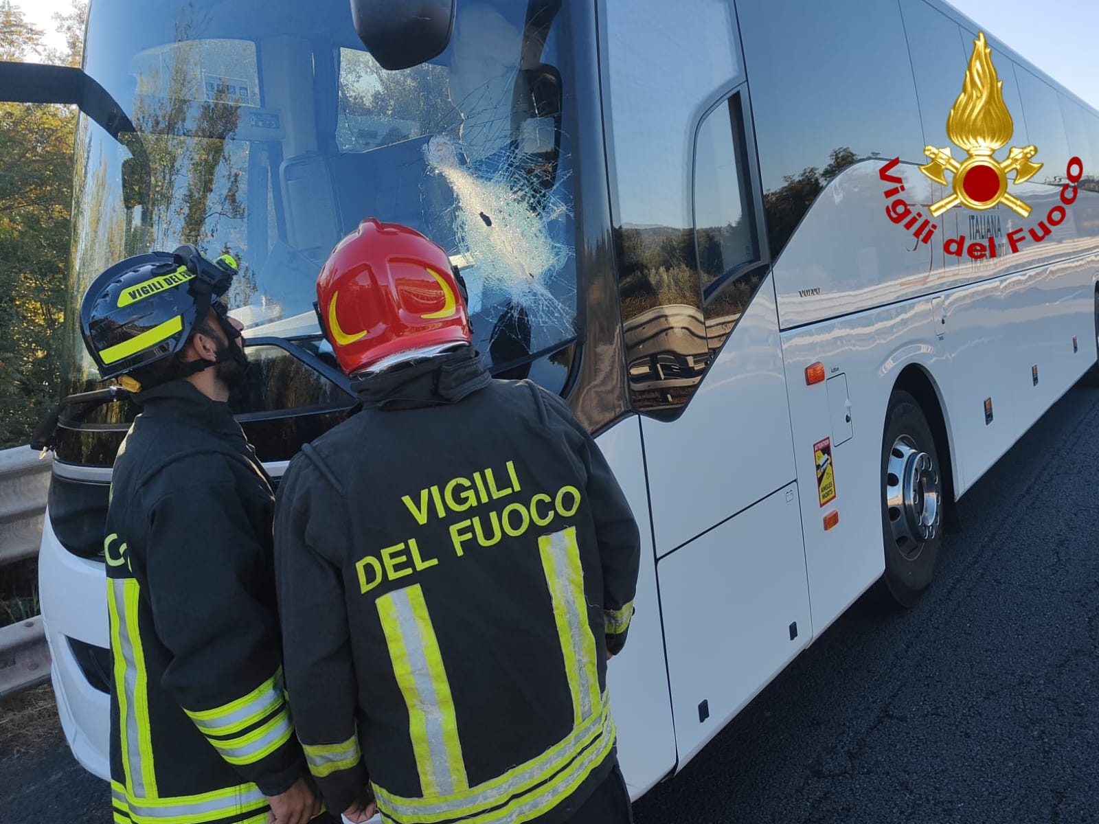 Immagine WhatsApp 2025 10 16 ore 11.47.43 5432091b