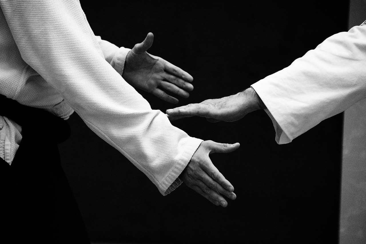 aikido 4018646 1280