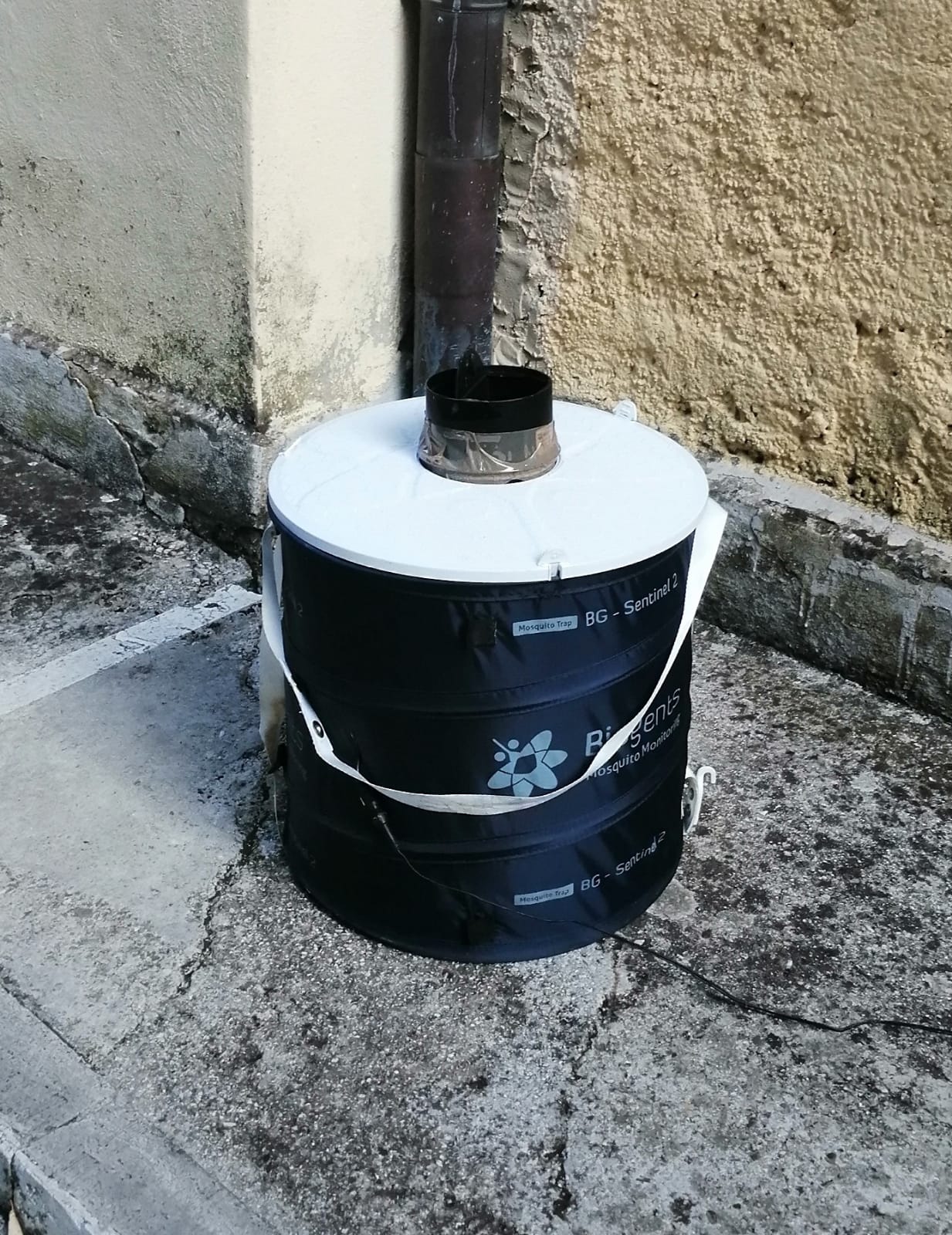 trappola cattura