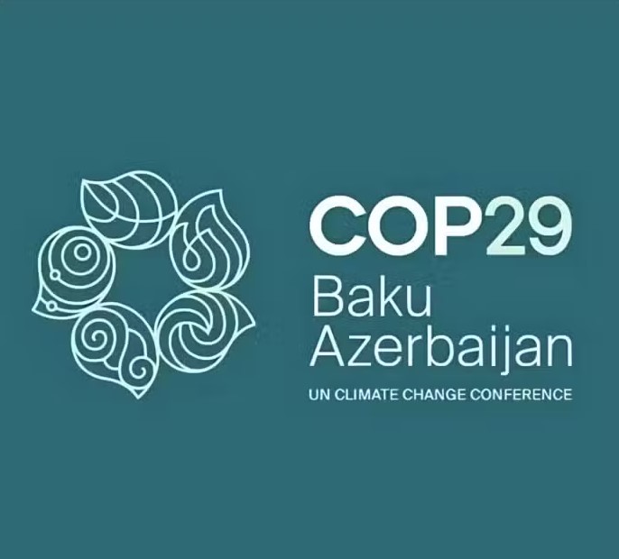 credits COP29