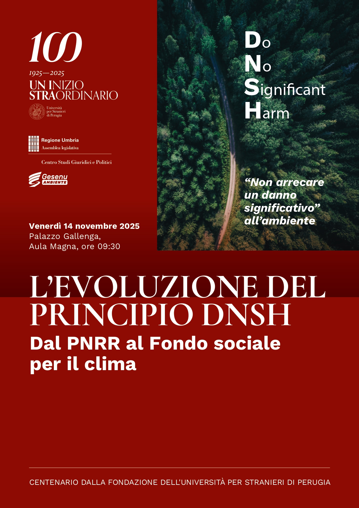 251114 principio dnsh page 0001 1