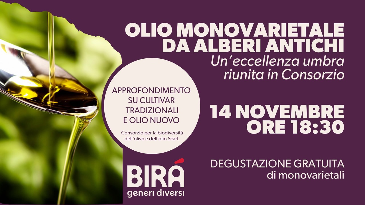 577039339 122165590034771830 5753324880762431938 n