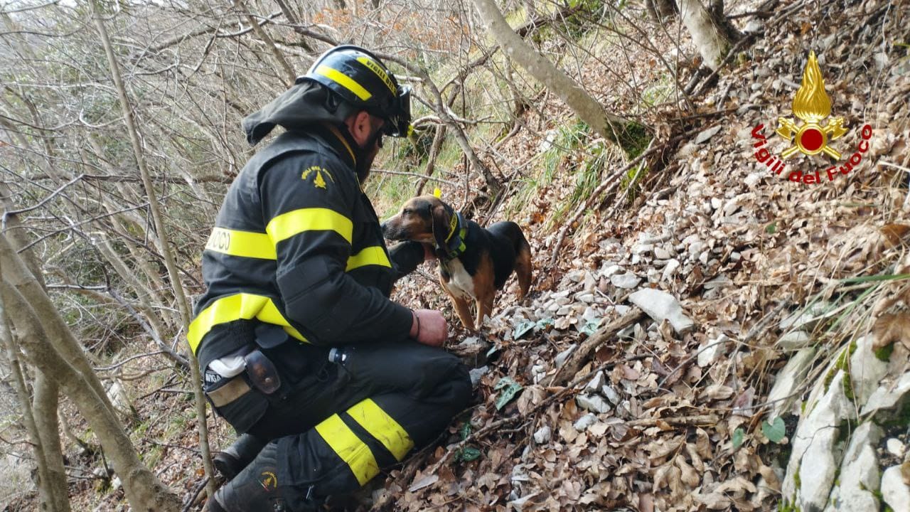 WhatsApp Image 2025 12 22 at 16.37.49