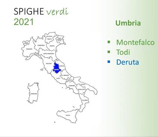 spighe verdi 2021 umbria