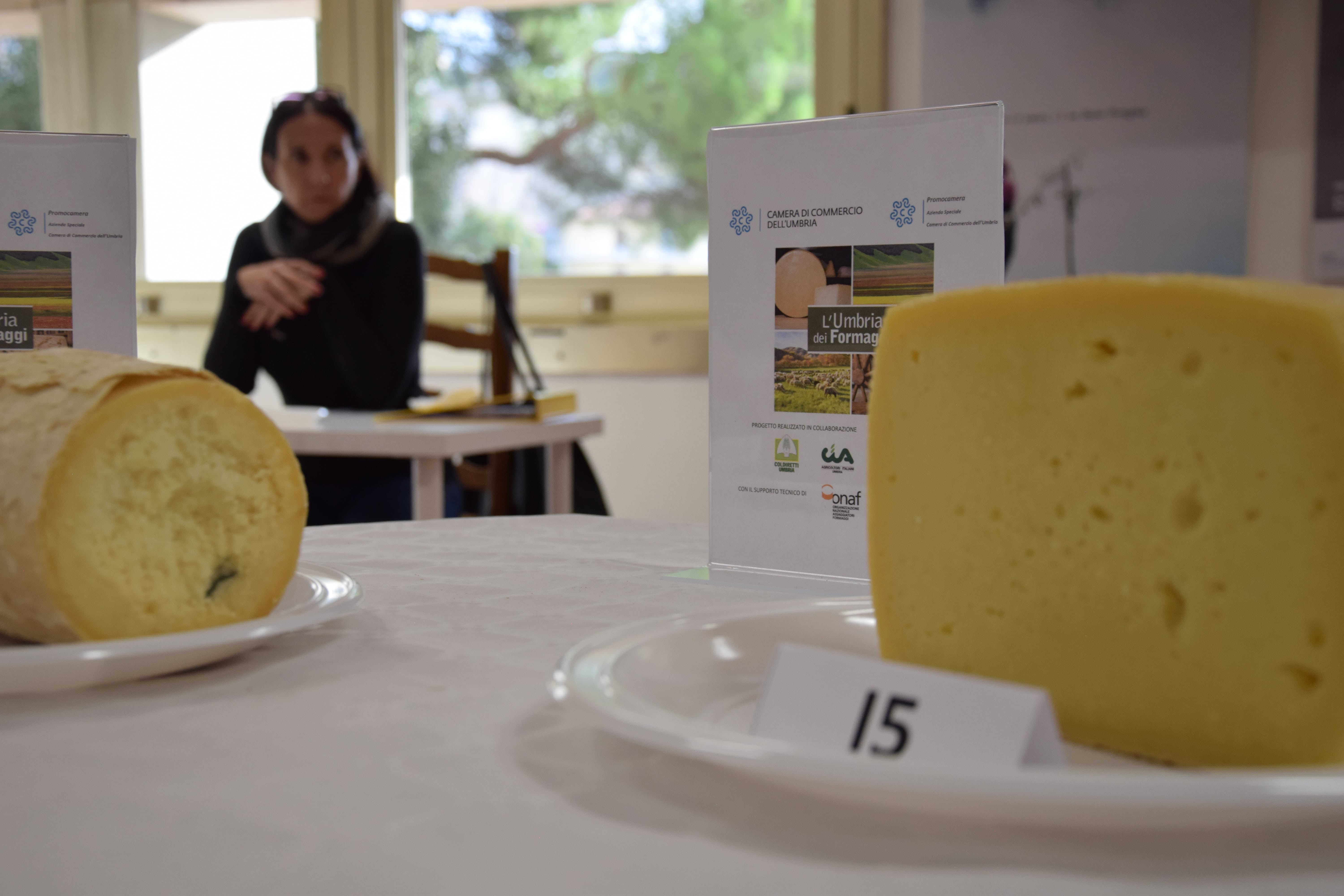 Un momento dellesame dei campioni di formaggio partecipanti alla Rassegna oggi 27 ottobre presso la sede della Camera di Commercio dellUmbria 3