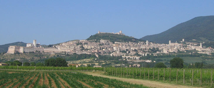 Assisi2
