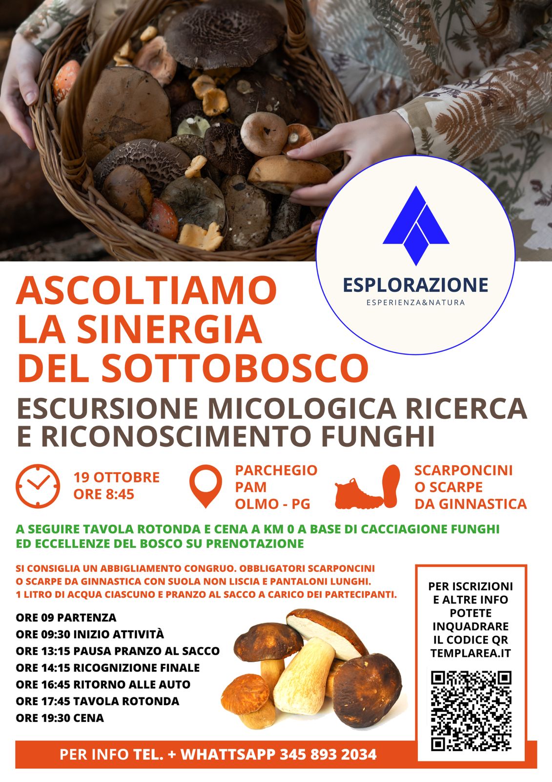 Immagine WhatsApp 2025 10 05 ore 11.36.27 692e14fe