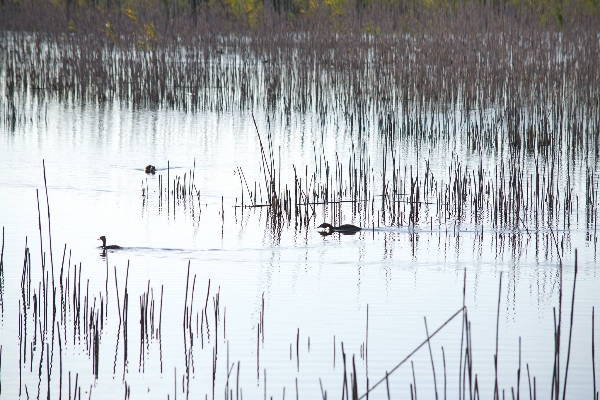 oasi naturalistica la valle